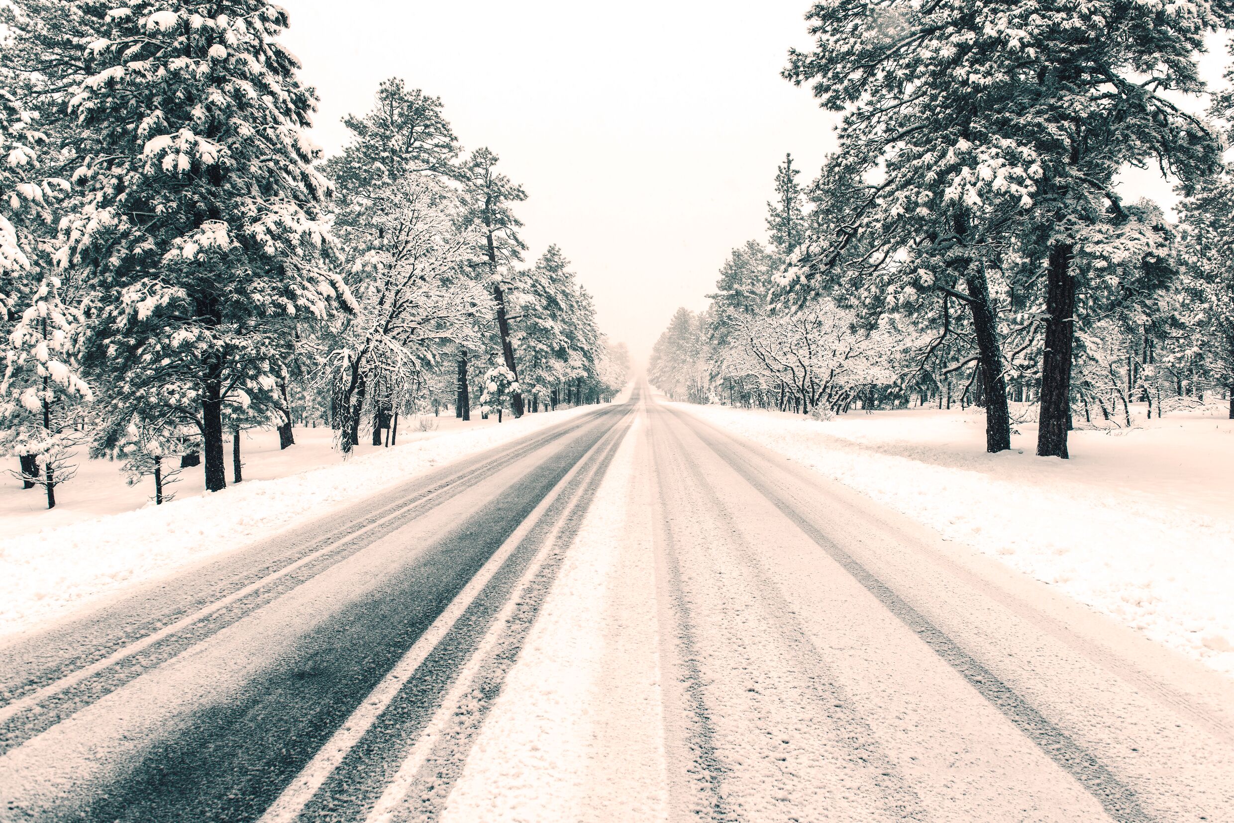 Medium A5 RGB web-Road in a snowly landycape.jpg